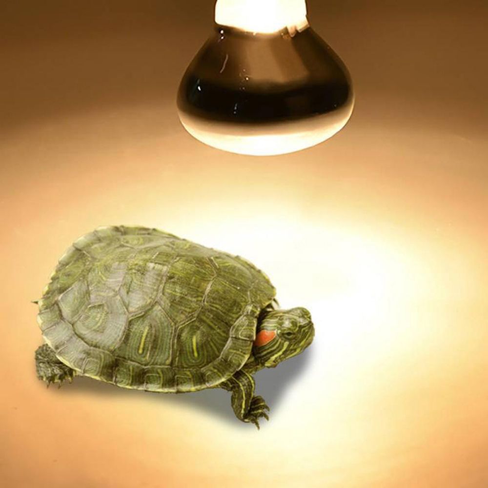 Basking Bulb Halogen - Lámpara de Calor para Lagartos, Lámpara