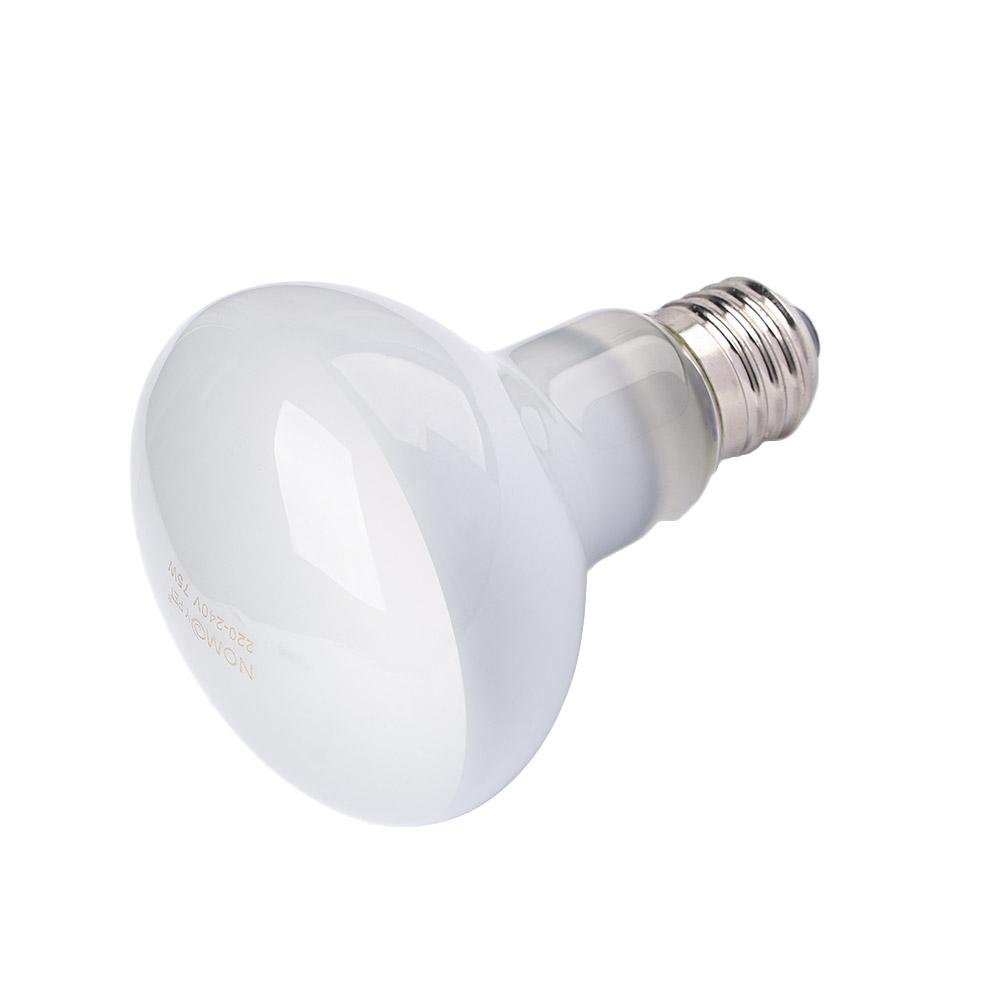 Basking Bulb Halogen - Controlador de Temperatura para Lámpara de
