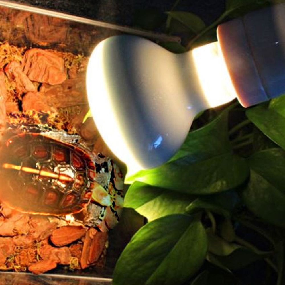 Basking Bulb Halogen - Controlador de Temperatura para Lámpara de