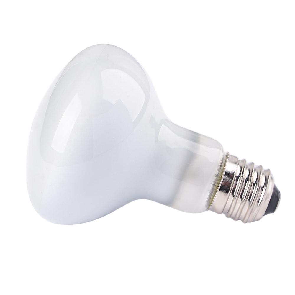 Basking Bulb Halogen - Controlador de Temperatura para Lagartos, Lámpara