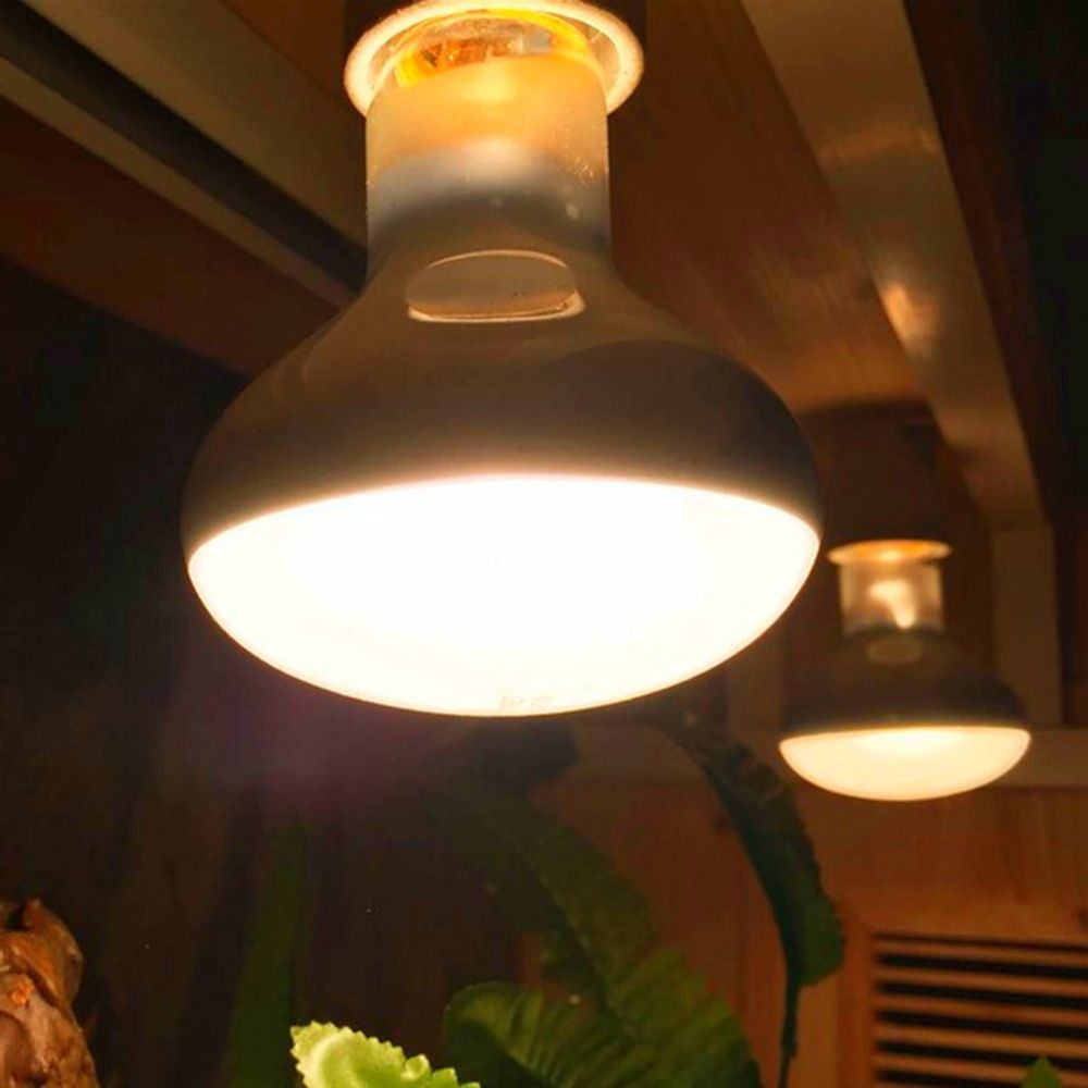 Basking Bulb Halogen - Controlador de temperatura de tortuga, lámpara