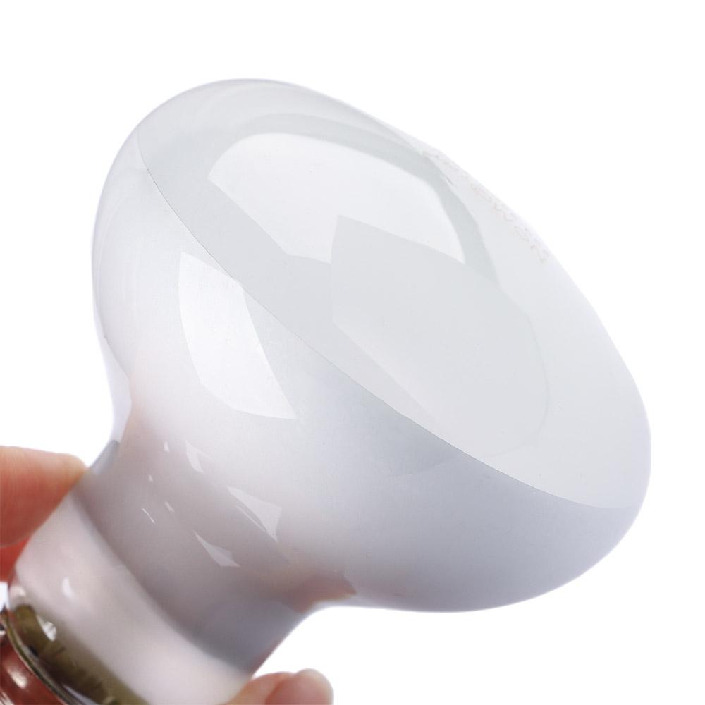 Basking Bulb Halogen - Controlador de Temperatura para Tortugas, Lámpara