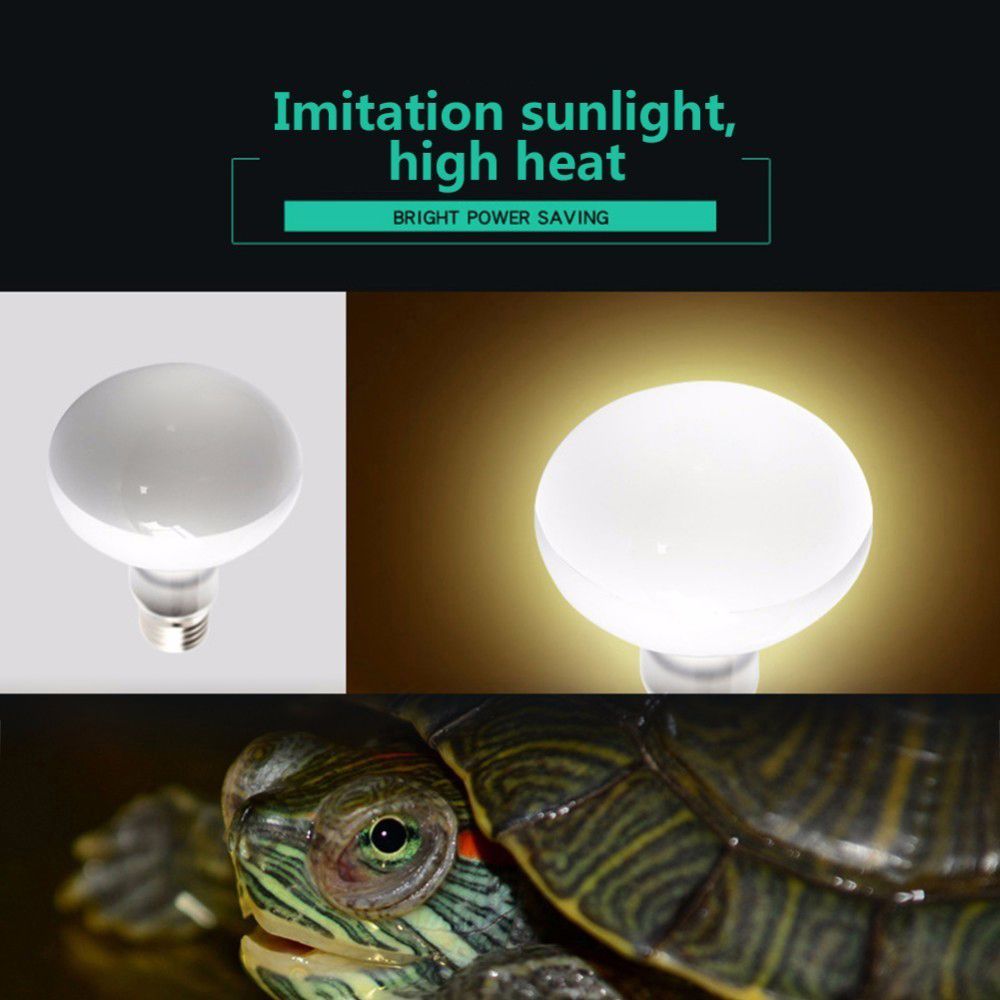 Basking Bulb Halogen - Controlador de Temperatura para Tortugas, Lámpara