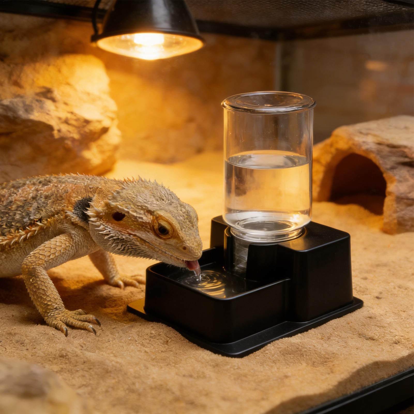 Water Dish Reptile - Bebedero Automático para Reptiles, Fuente de