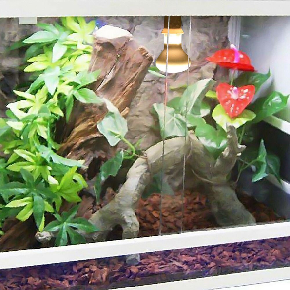 Basking Bulb Halogen - Controlador de Temperatura para Tortugas, Calentador,