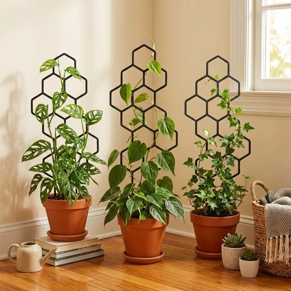 Vine Climbing Plastic - Soporte de Plástico Antioxidante con Diseño