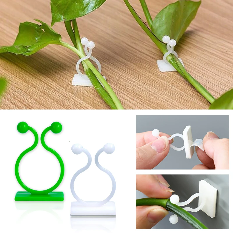 Vine Climbing Plastic - Gancho de hebilla fija autoadhesivo para