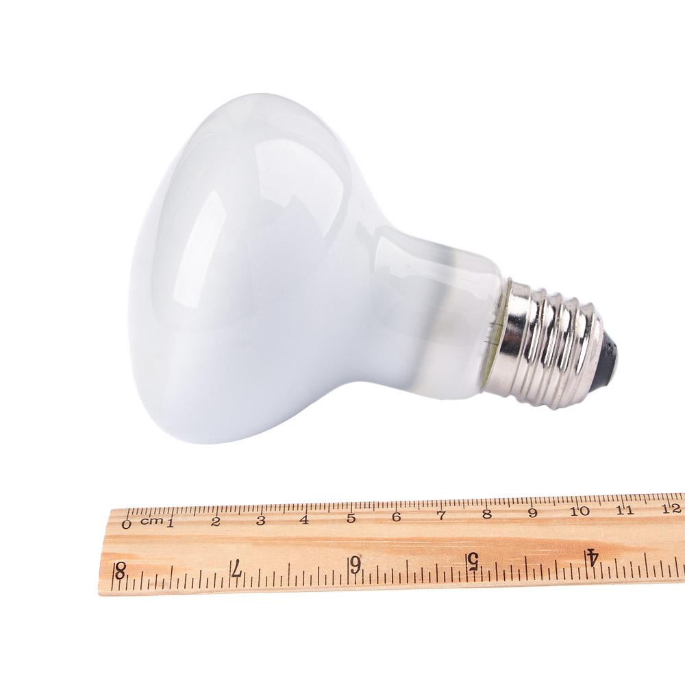 Lámpara de Calor para Lagartos - Basking Bulb Halogen reseña y precio