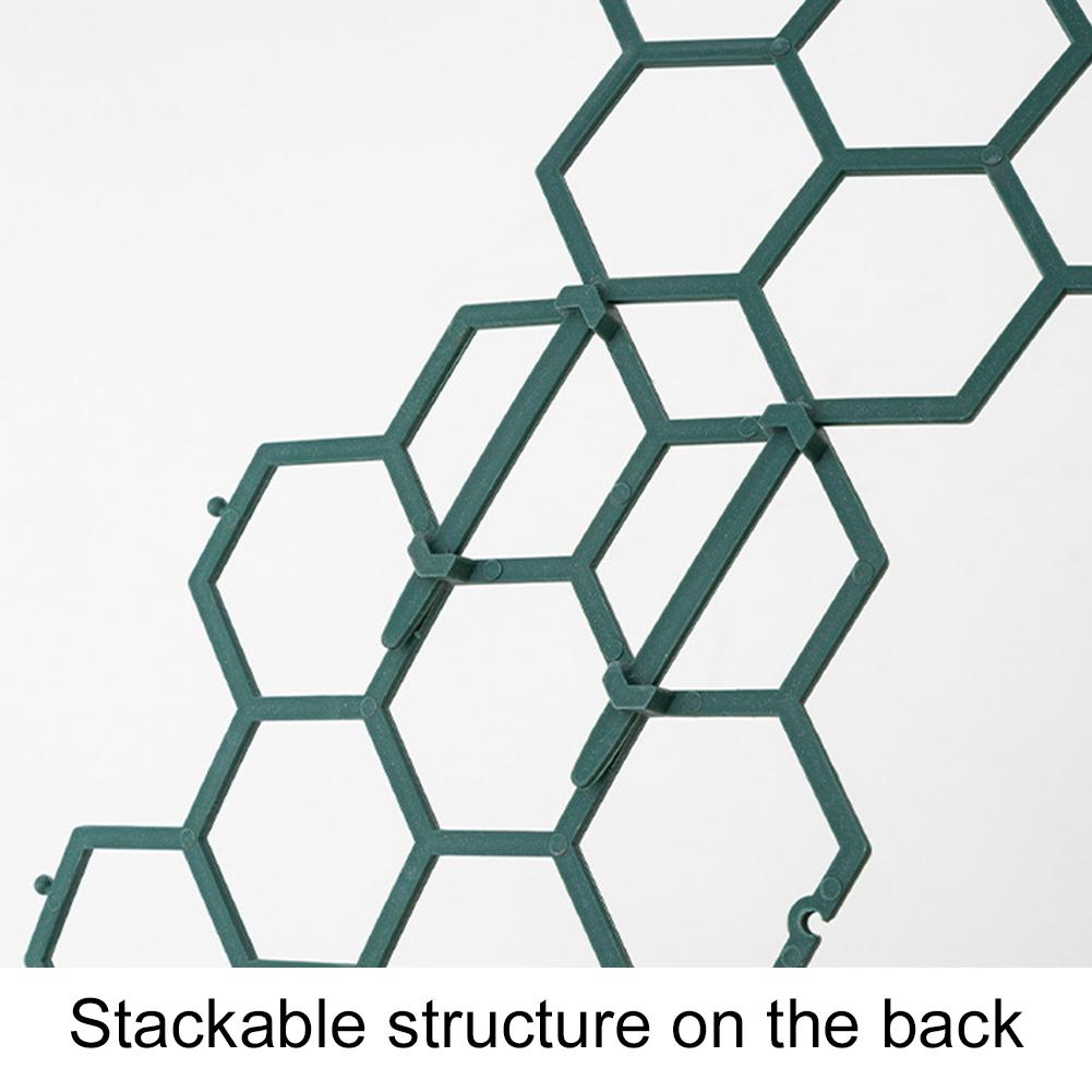 Soporte de plástico para plant - Vine Climbing Plastic reseña y precio