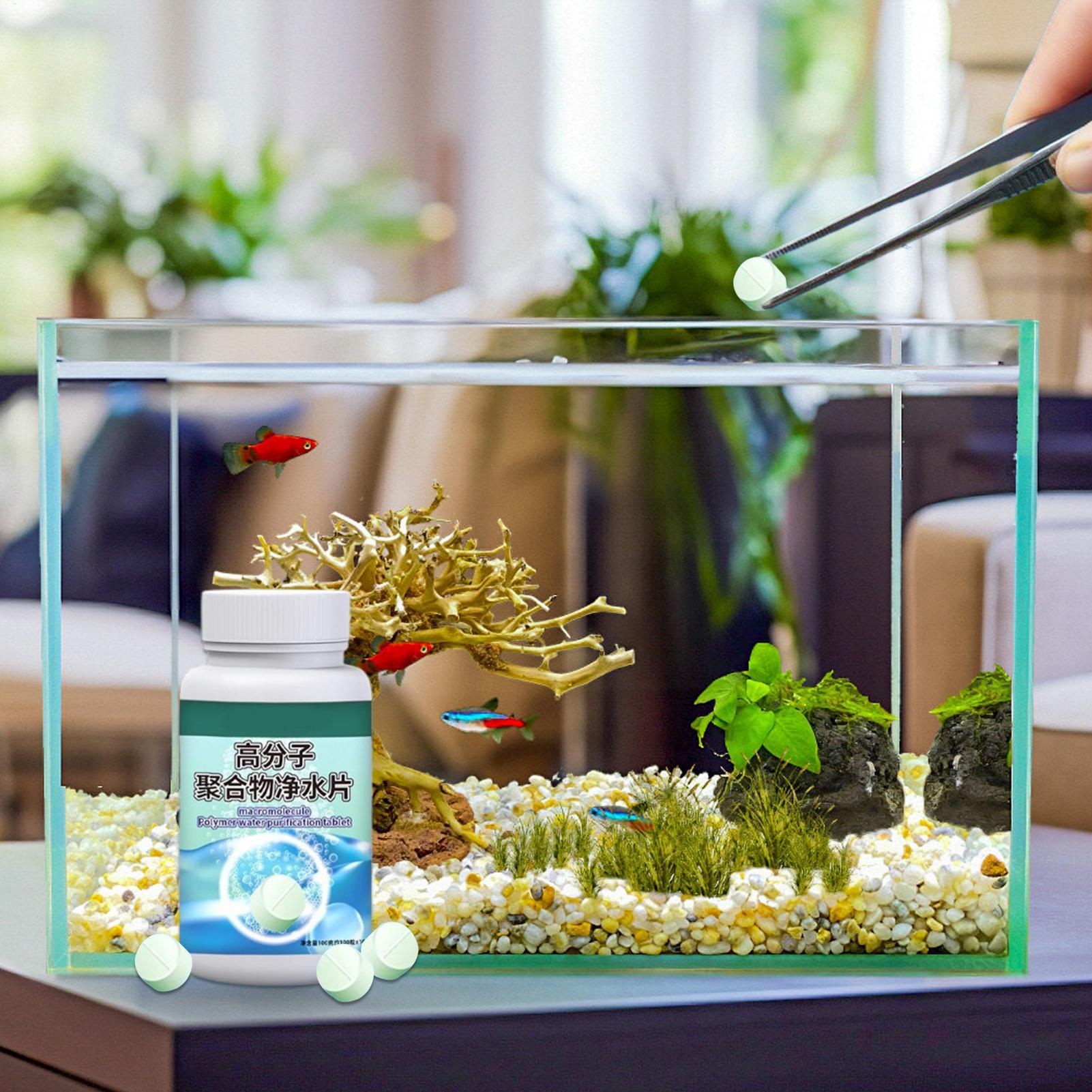 Removedor de algas para peces, - Water Dish Reptile reseña y precio