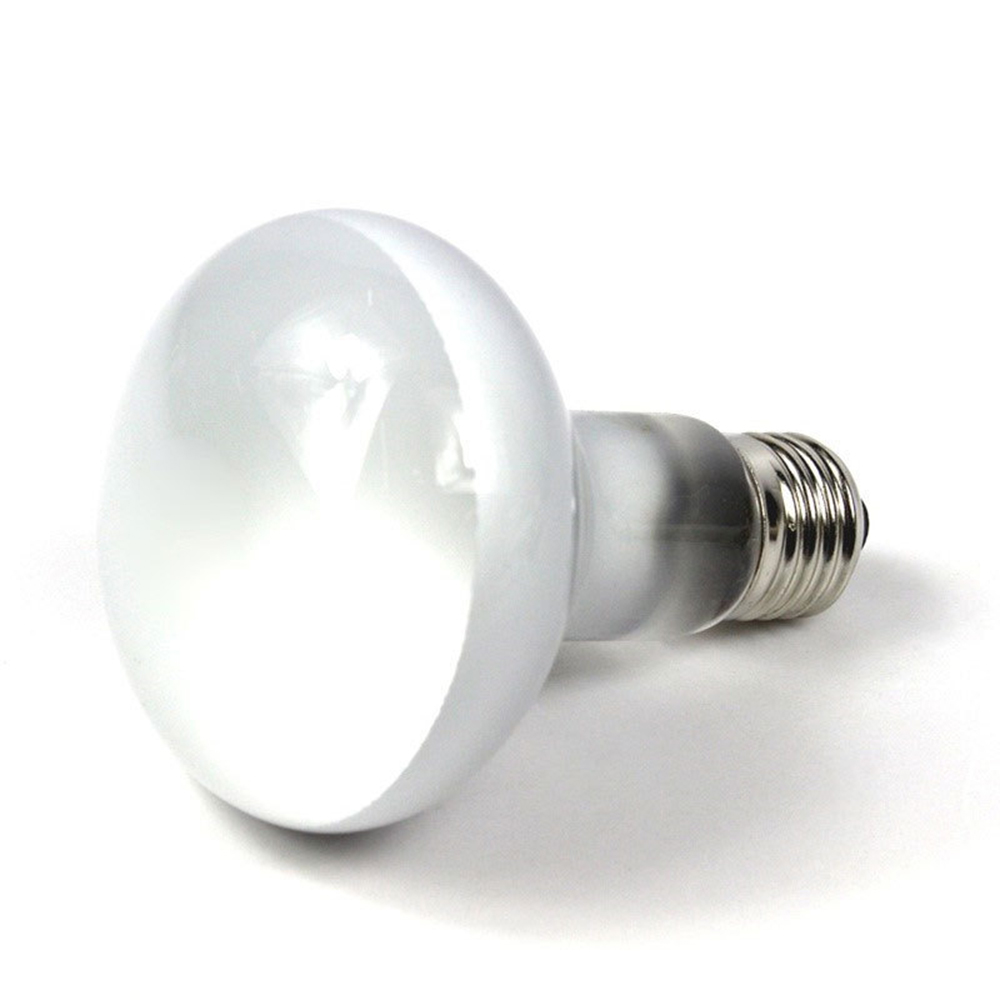 Controlador de Temperatura par - Basking Bulb Halogen reseña y precio