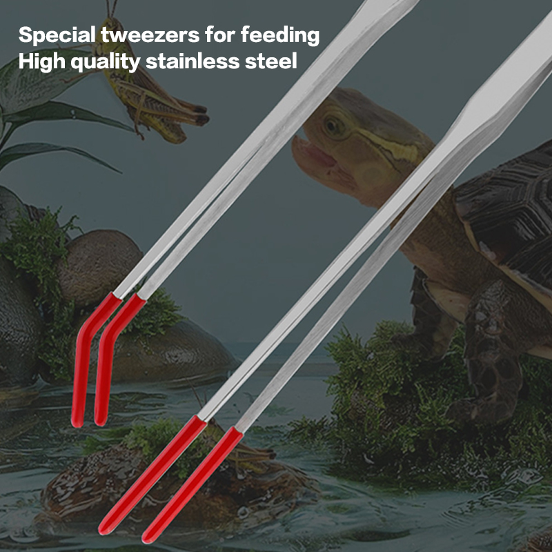 Herramientas para acuarios exp - Feeding Tong Stainless reseña y precio