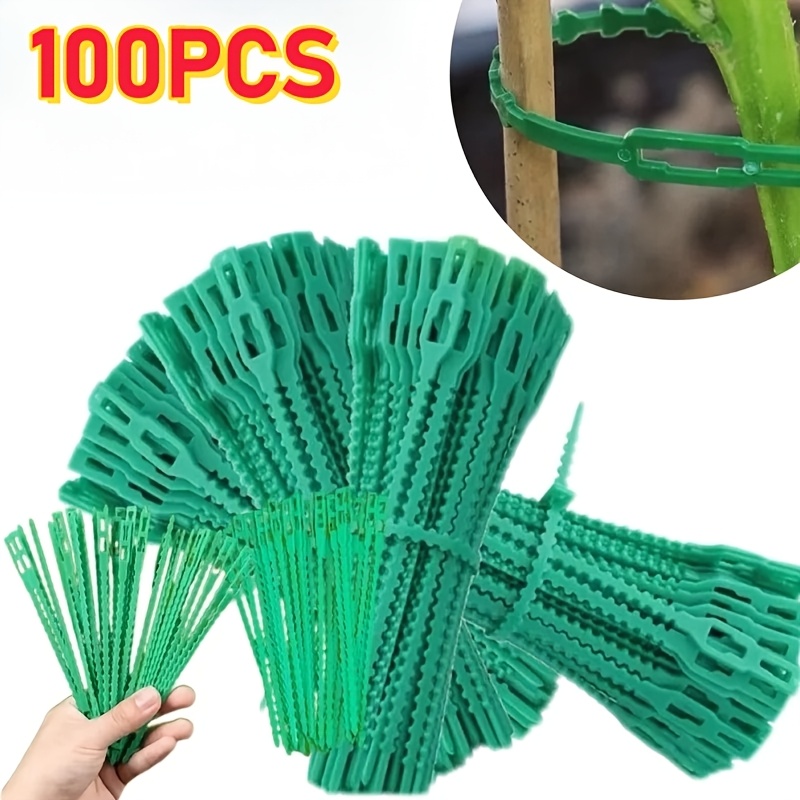 100 Lazos Ajustables Reutiliza - Vine Climbing Plastic reseña y precio
