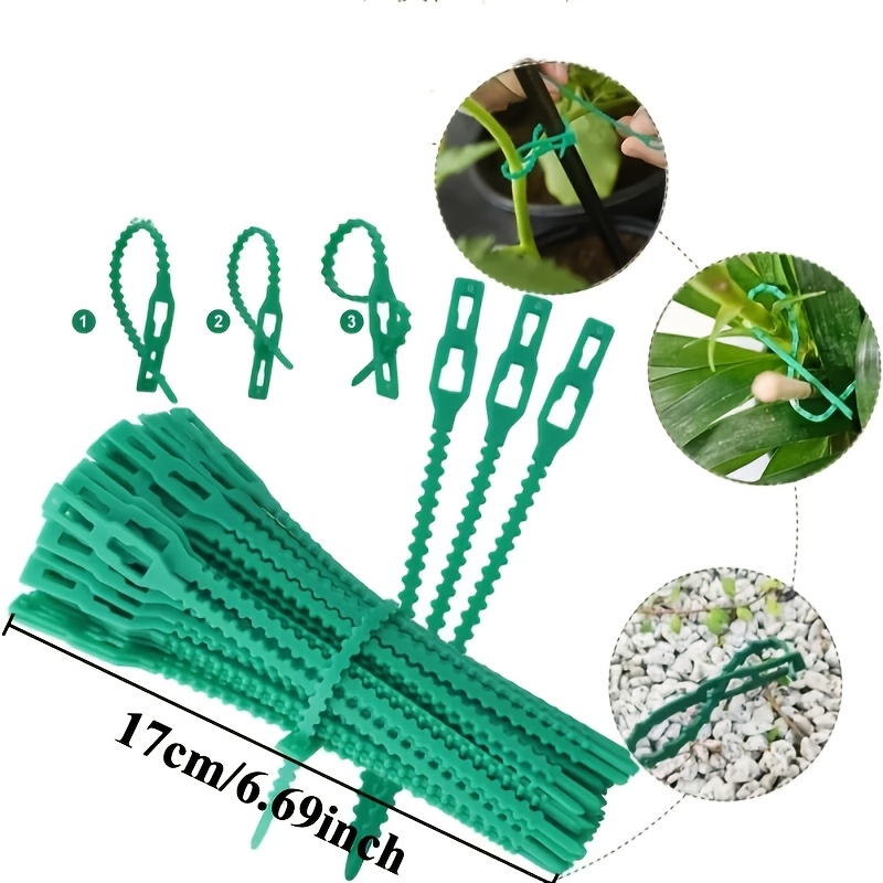 100 Lazos Ajustables Reutiliza - Vine Climbing Plastic reseña y precio