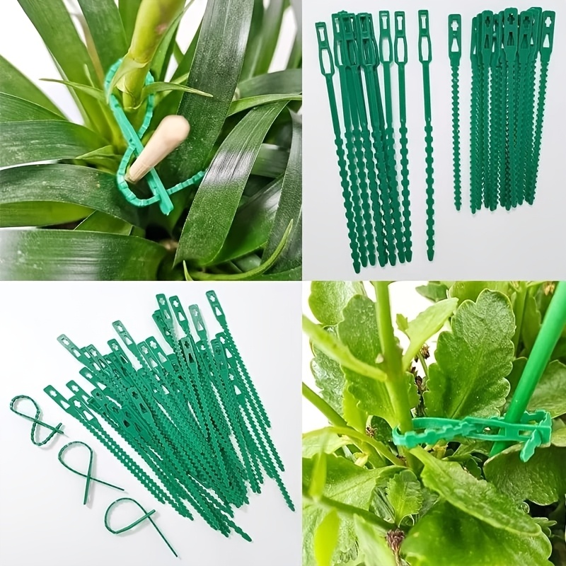 100 Lazos Ajustables Reutiliza - Vine Climbing Plastic reseña y precio