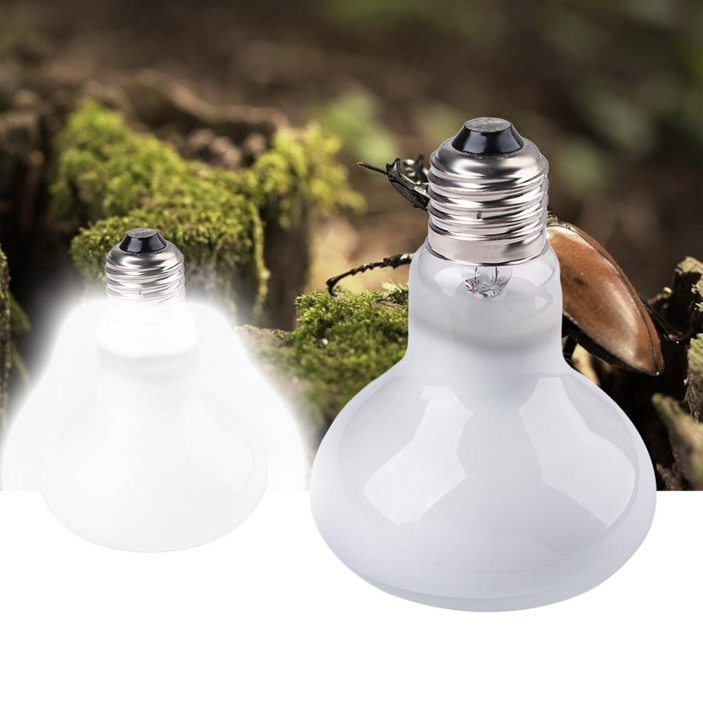 Lámpara de Calor para Anfibios - Basking Bulb Halogen reseña y precio