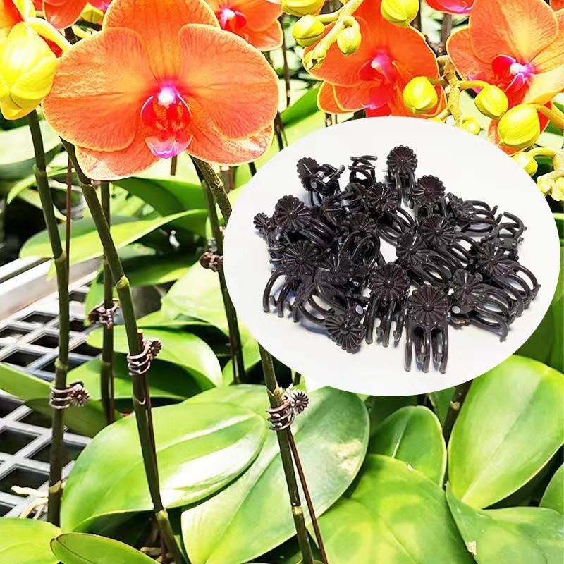 Clips de Soporte para Plantas  - Vine Climbing Plastic reseña y precio