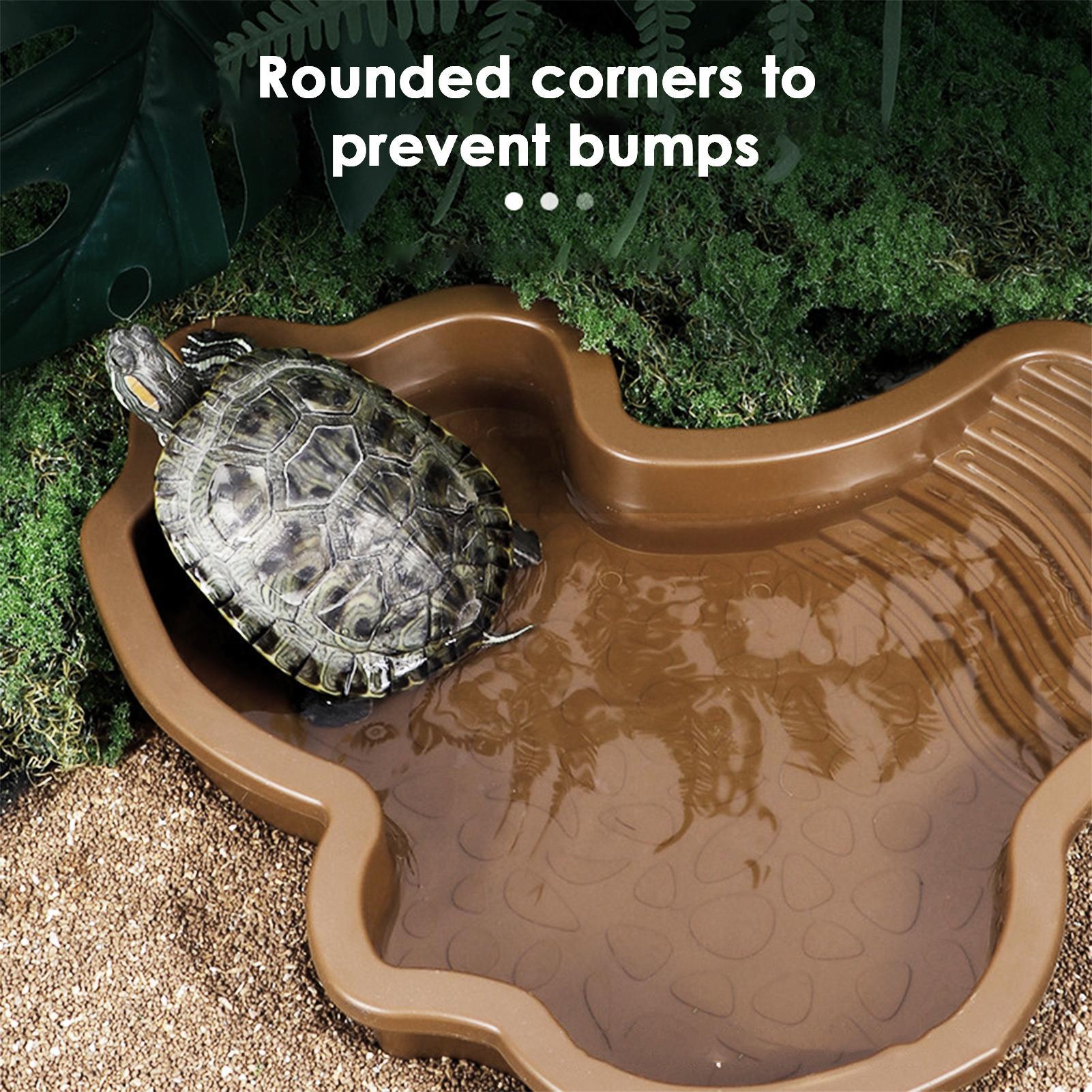 Piscina de baño para reptiles  - Water Dish Reptile reseña y precio