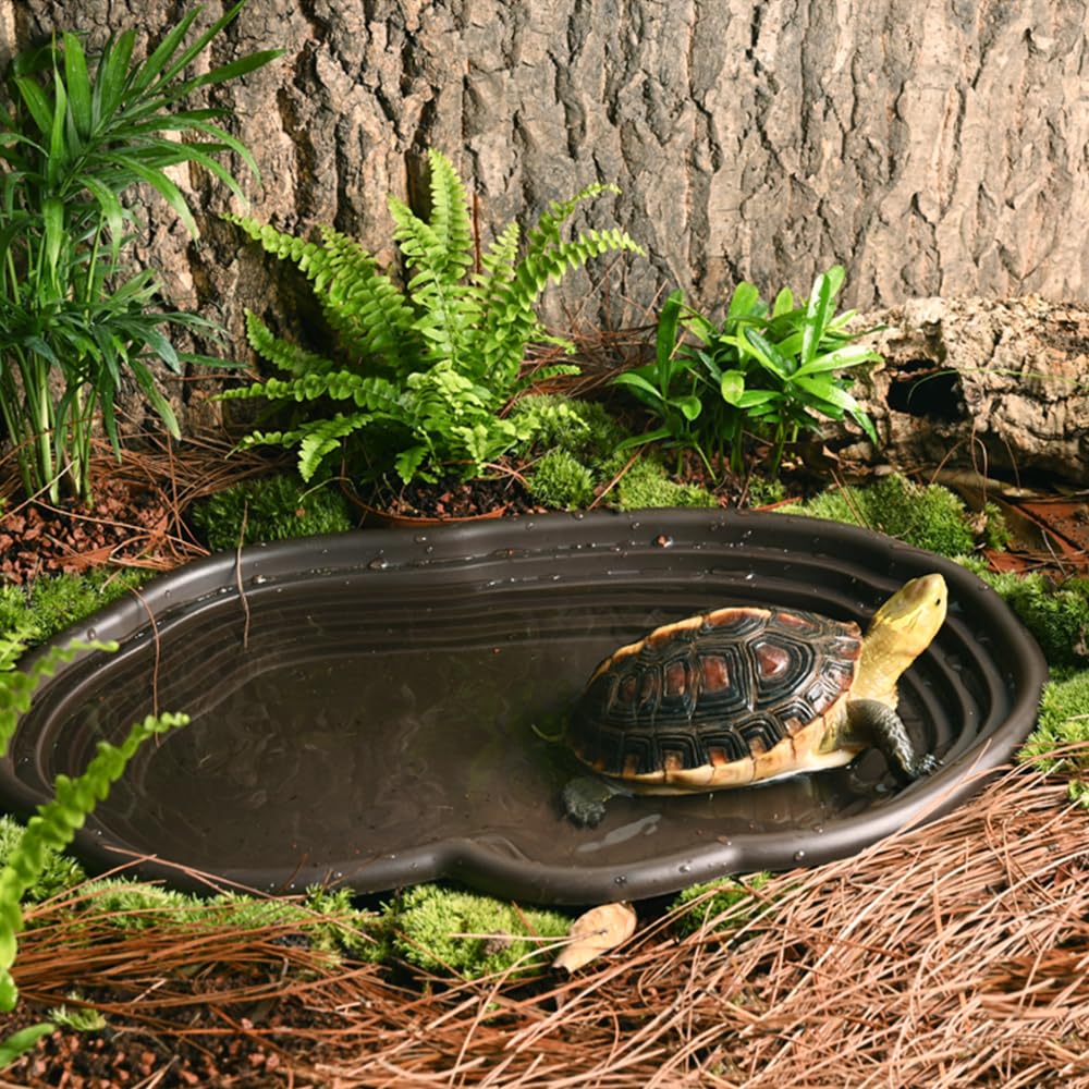 Plato de baño para reptiles, h - Water Dish Reptile reseña y precio