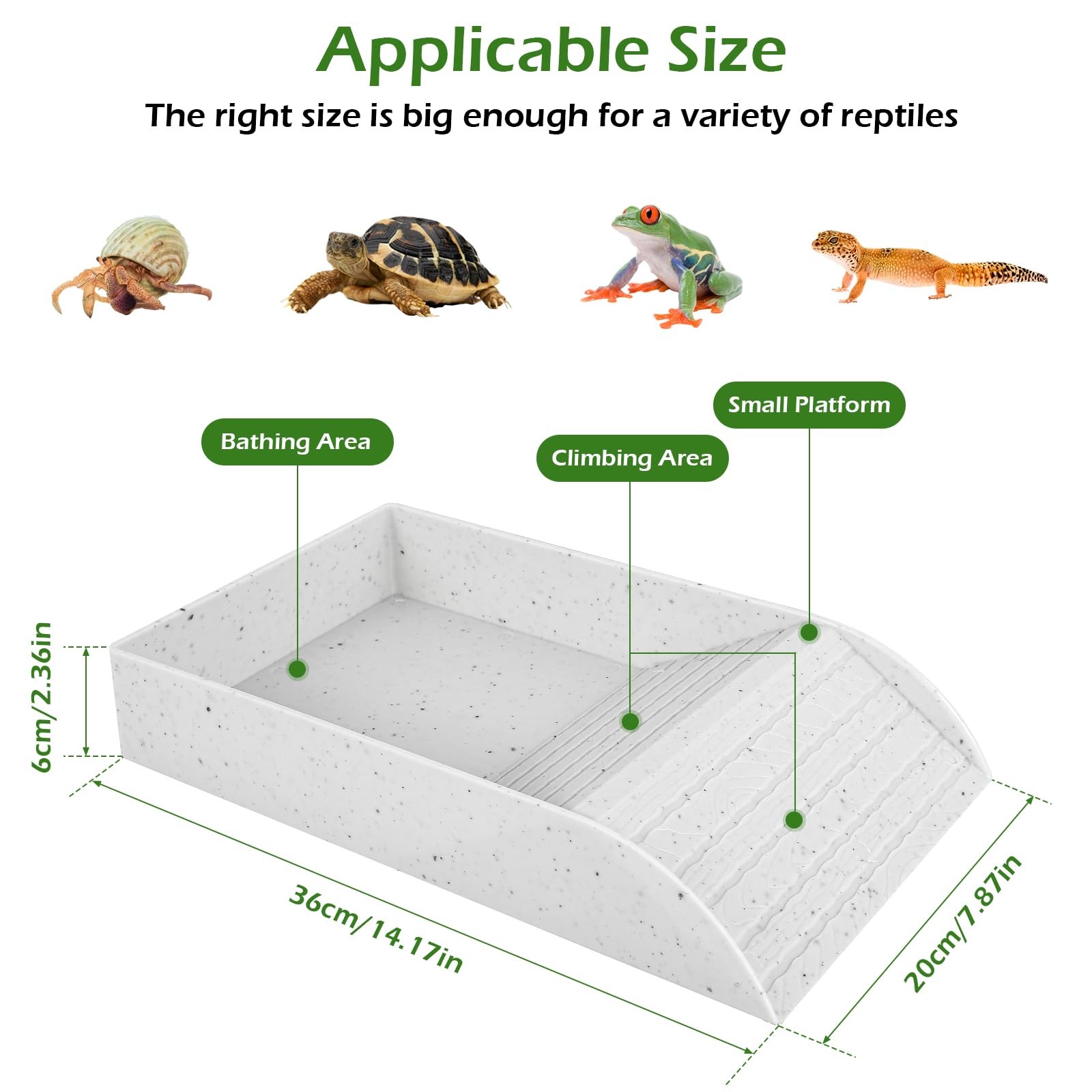 Plato de baño de tortuga antid - Water Dish Reptile reseña y precio