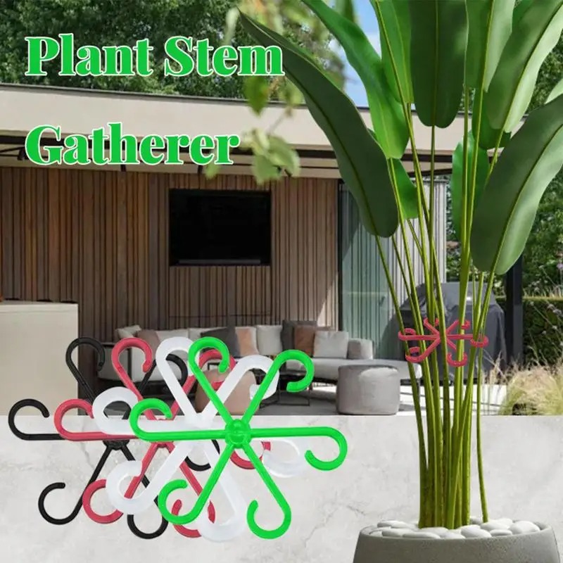 Soporte para Tallos de Plantas - Vine Climbing Plastic reseña y precio