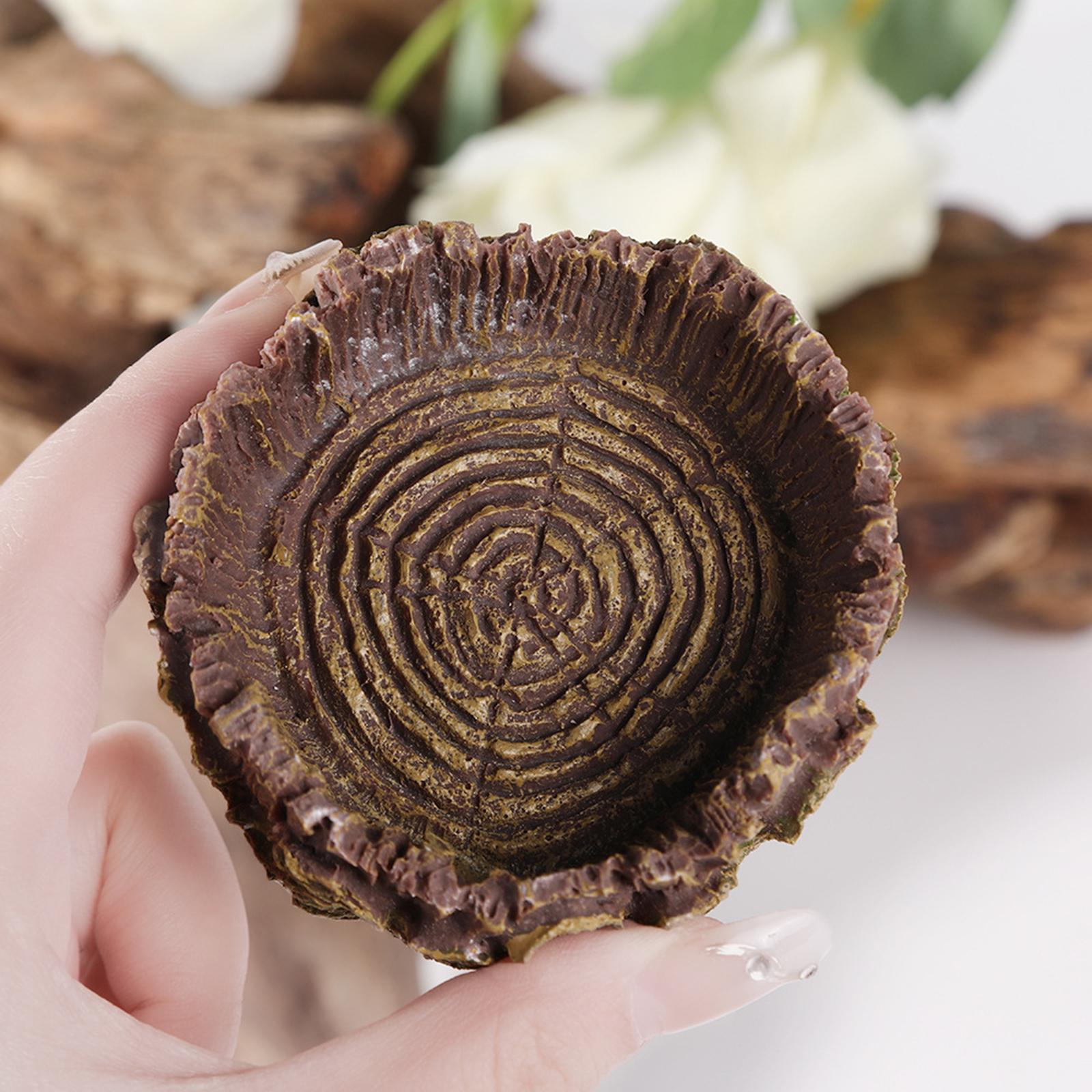 Plato de baño para reptiles, a - Water Dish Reptile reseña y precio