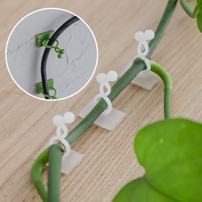 10 Ganchos Universales para Fi - Vine Climbing Plastic reseña y precio