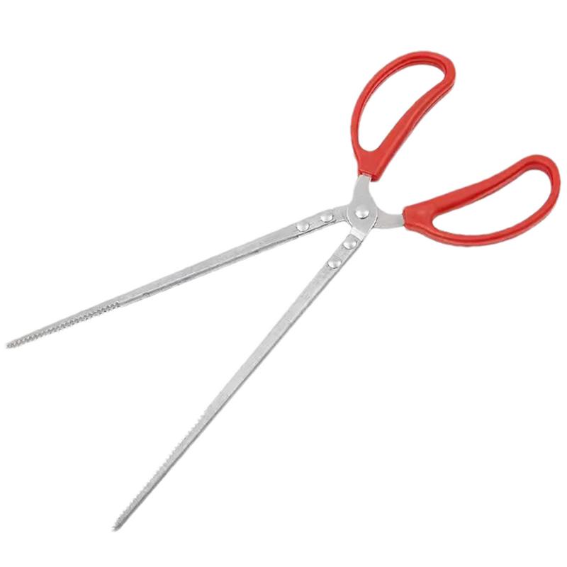 Alimentador de reptiles de ace - Feeding Tong Stainless reseña y precio