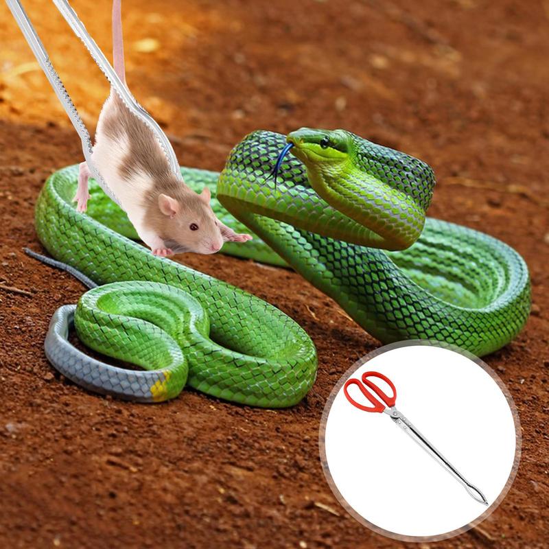 Alimentador de reptiles de ace - Feeding Tong Stainless reseña y precio