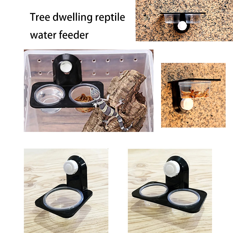 Accesorios para tanque de rept - Water Dish Reptile reseña y precio