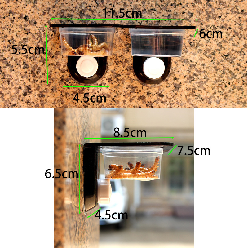 Accesorios para tanque de rept - Water Dish Reptile reseña y precio