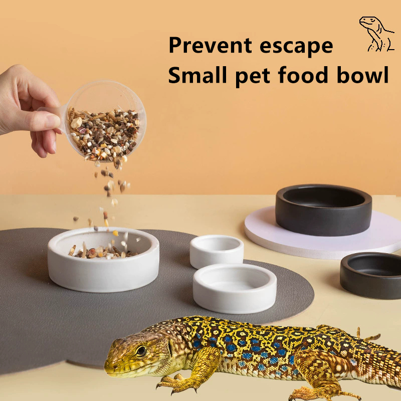 ¡EN OFERTA! Comedero de cerámi - Water Dish Reptile reseña y precio