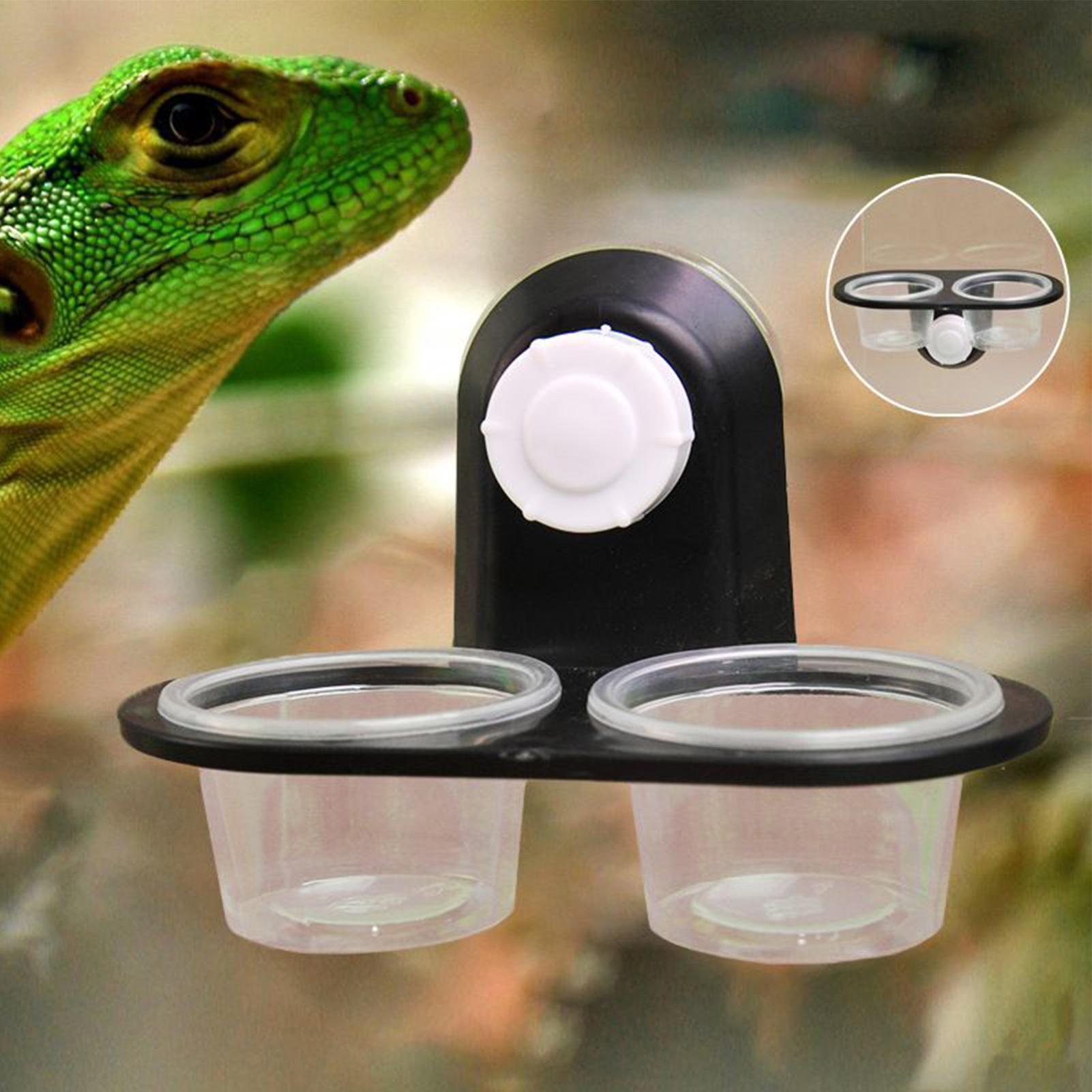Plataforma de alimentación par - Water Dish Reptile reseña y precio