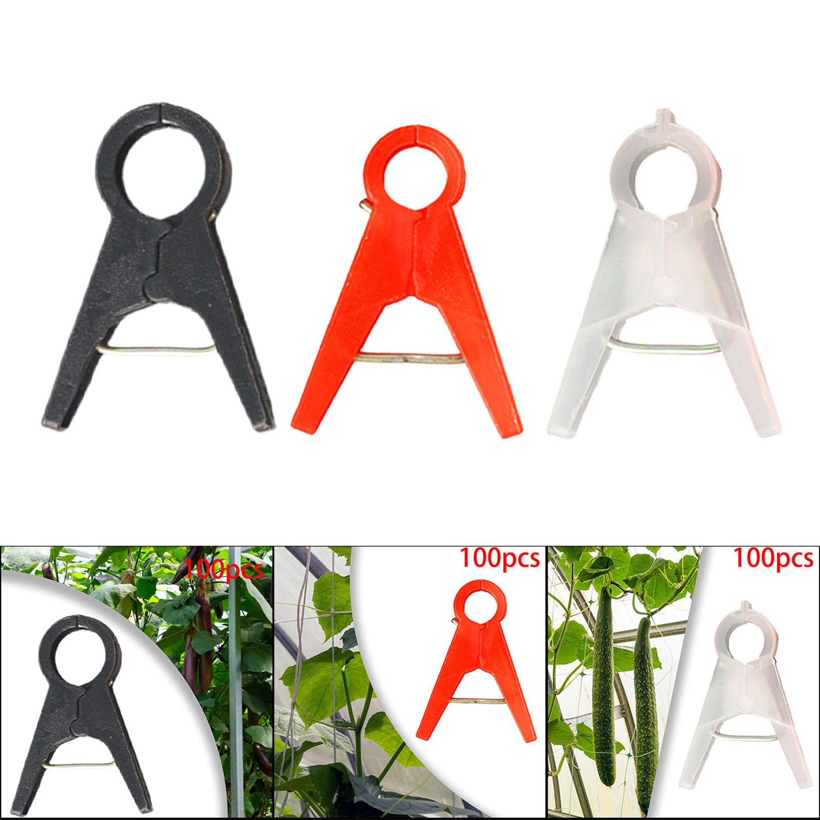 Clips de soporte para plantas  - Vine Climbing Plastic reseña y precio