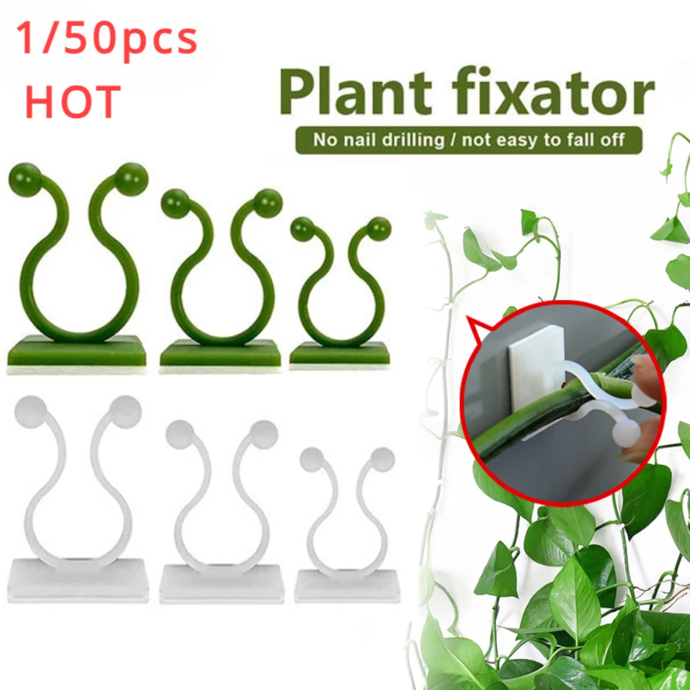 Accesorios para jardín, maceta - Vine Climbing Plastic reseña y precio