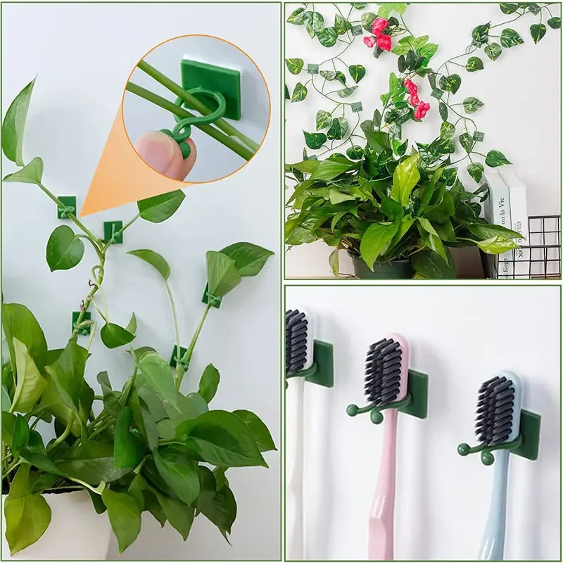 Accesorios para jardín, maceta - Vine Climbing Plastic reseña y precio