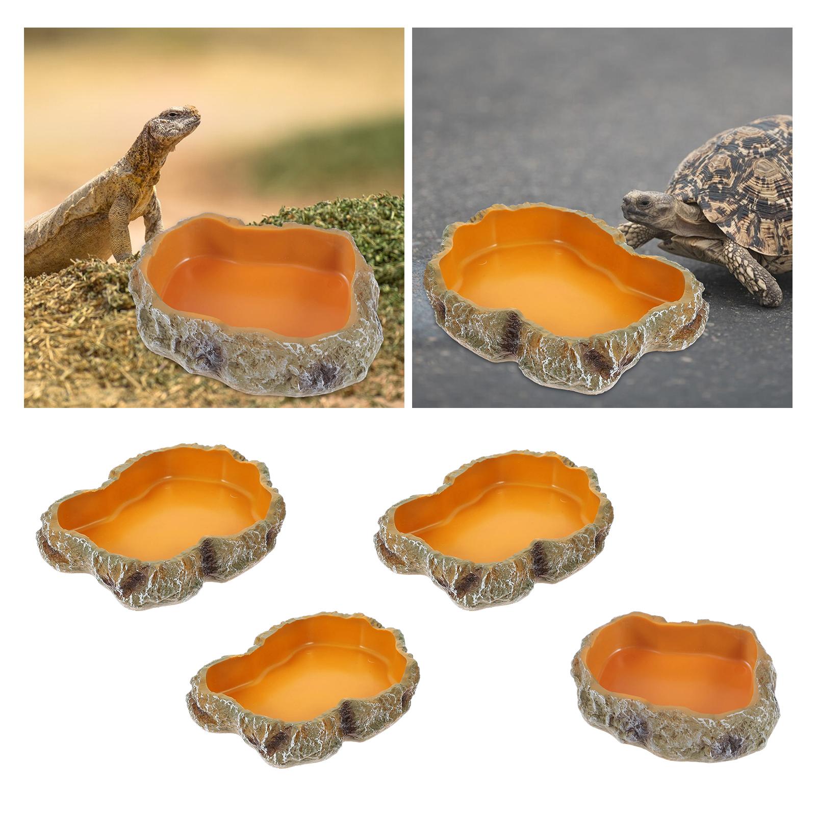 Cuencos de agua para reptiles, - Water Dish Reptile reseña y precio