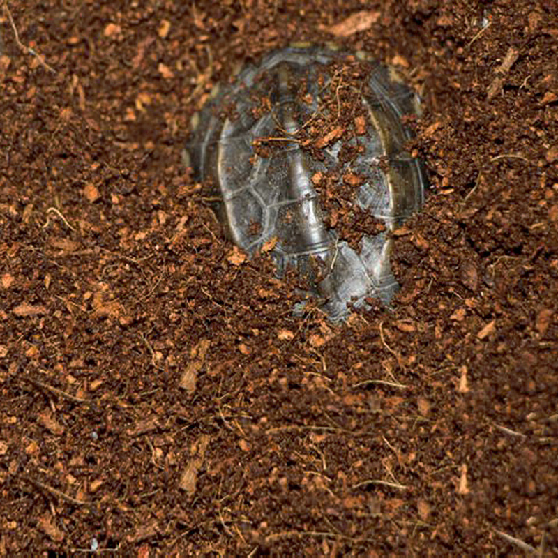 WAJABABY Ladrillo de coco list - Substrate Coconut Fiber reseña y precio