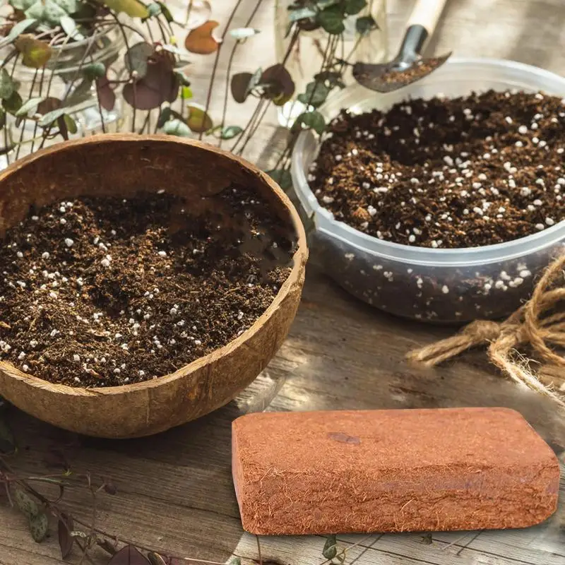 Terreno de coco para reptiles, - Substrate Coconut Fiber reseña y precio