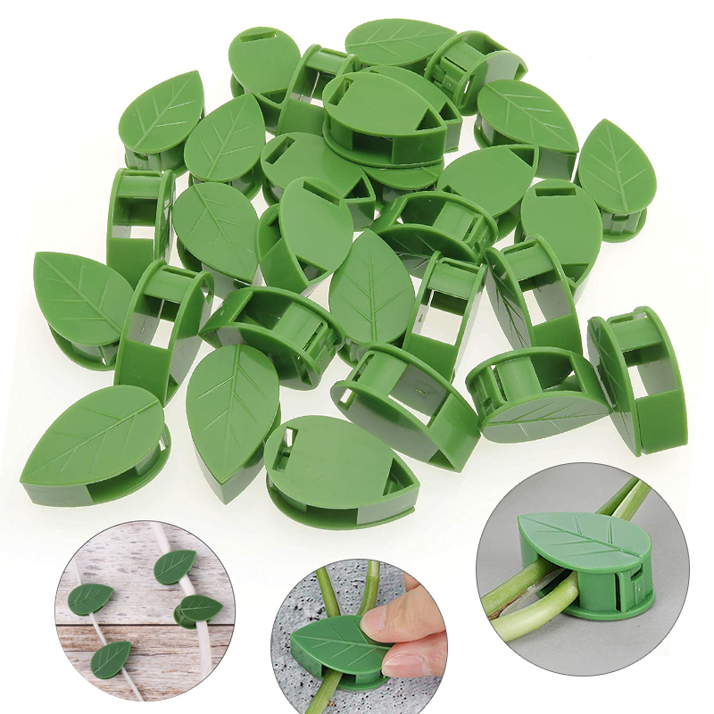 Accesorio Invisible para pared - Vine Climbing Plastic reseña y precio