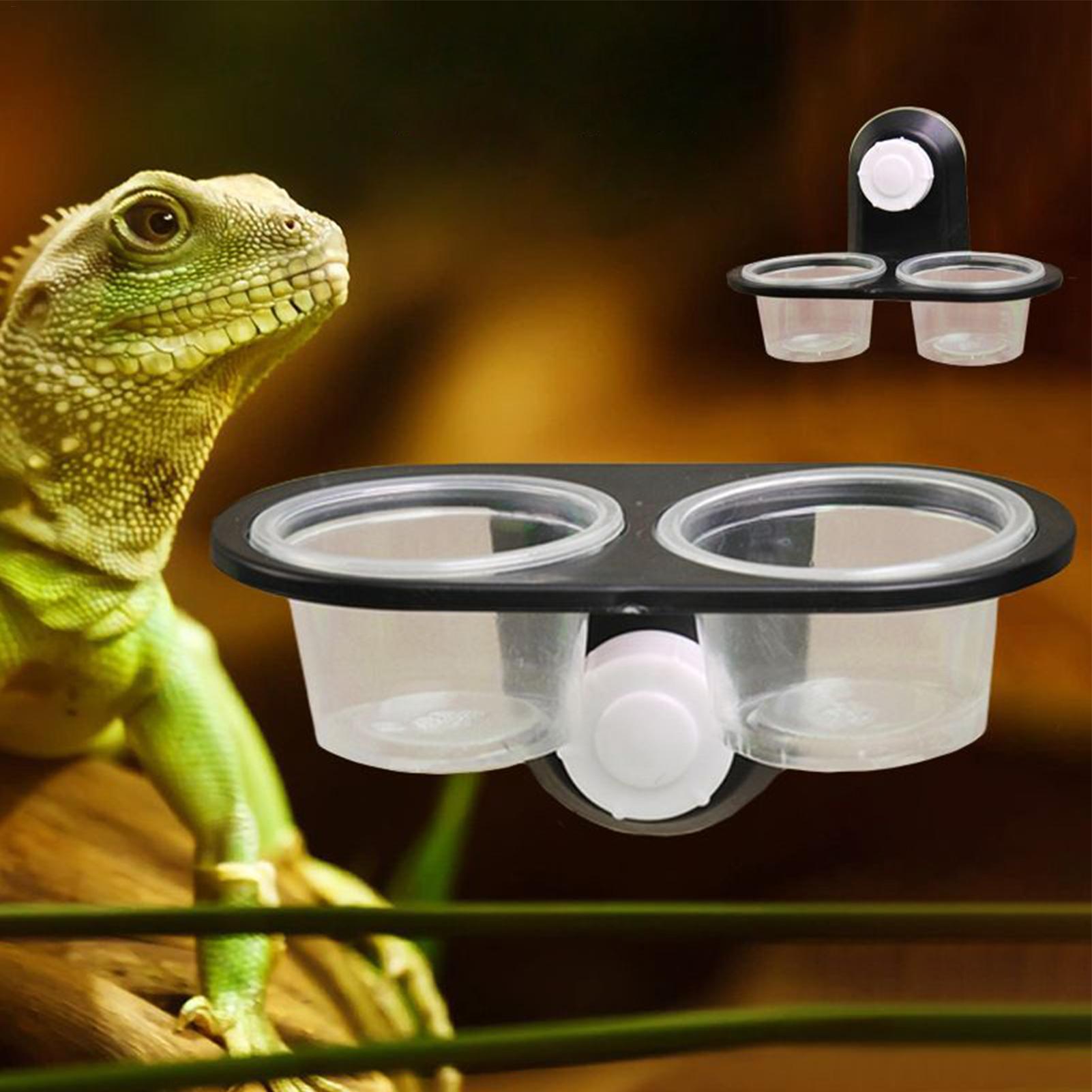 Plato de Comida y Agua para Re - Water Dish Reptile reseña y precio